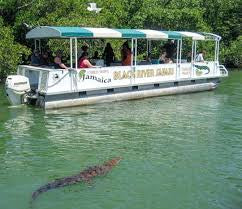 Black River Safari Tour