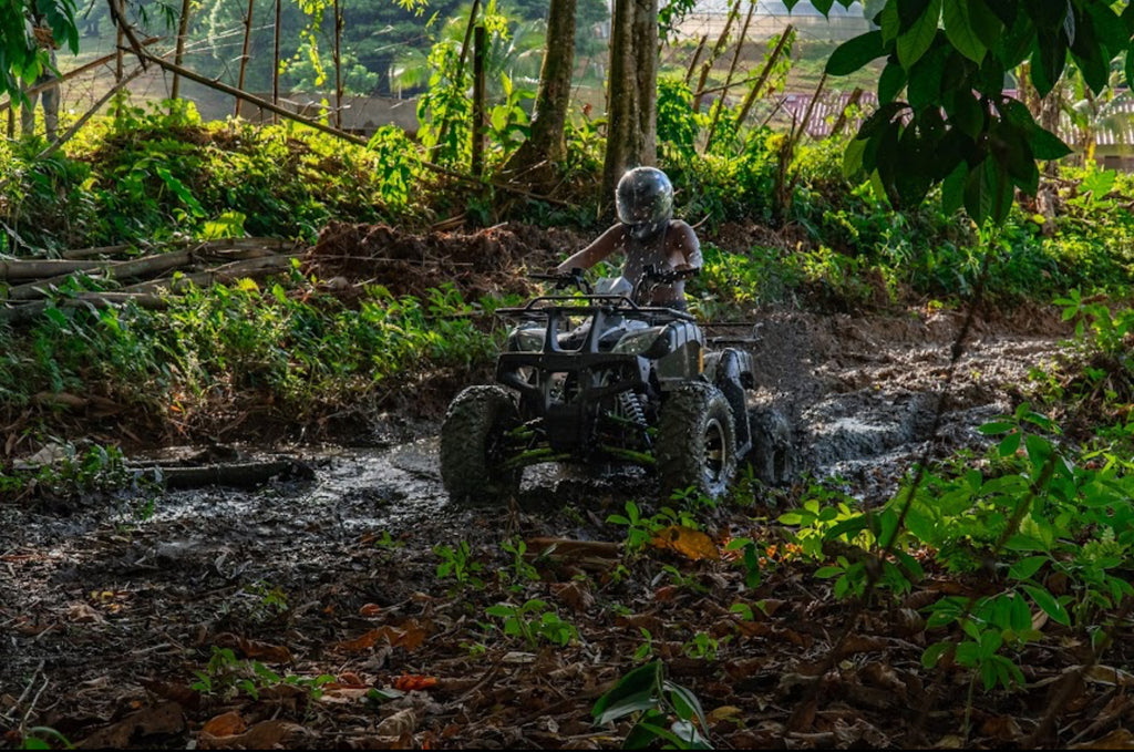 Bambuza- The Adventure Kingdom