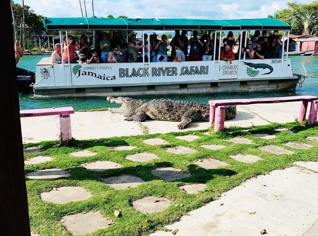 Black River Safari Tour