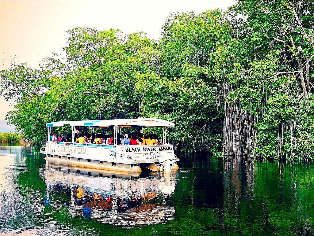 Black River Safari Tour