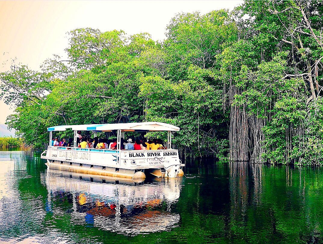 Black River Safari Tour