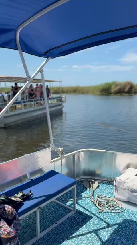 Private Black River Safari Tour