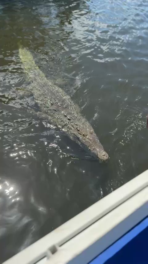 Private Black River Safari Tour