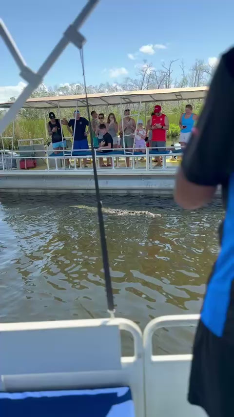 Private Black River Safari Tour