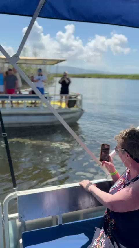 Private Black River Safari Tour